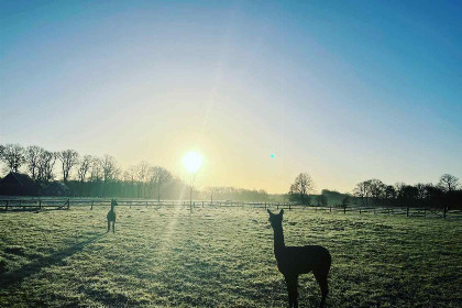 011 8 persoons vakantiehuis met omheinde tuin in Winterswijk, de Achterhoek