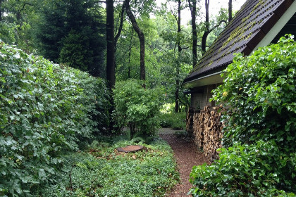 001 Bosrijk gelegen 4 5 persoons vakantiehuis in Winterswijk, Achterhoek