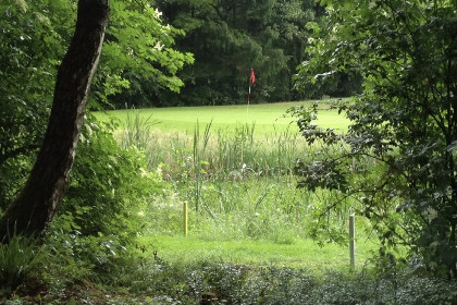 007 Bosrijk gelegen 4 5 persoons vakantiehuis in Winterswijk, Achterhoek