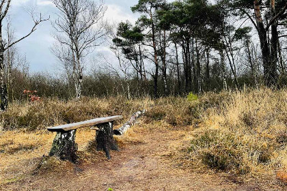 016 Gelijkvloerse 4 persoons bungalow met grote tuin in Winterswijk