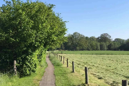 003 Magisch 6 persoons vakantiehuis met een sauna en omringd door natuur in Winterswijk