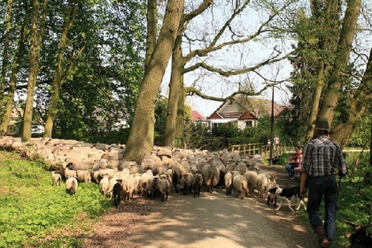 017 Mooi vakantiehuis geschikt voor zes personen in Winterswijk, de Achterhoek