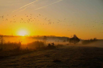 003 Prachtig 4 persoons vakantiehuis nabij Winterswijk en de Duitse grens