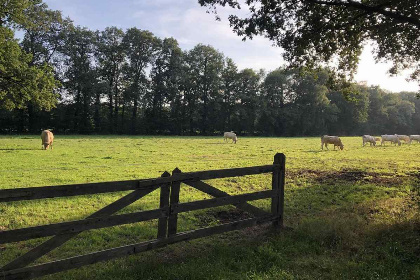 006 Prachtig 4 persoons vakantiehuis nabij Winterswijk en de Duitse grens