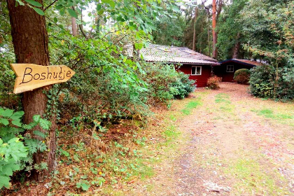 003 Sfeervol 4 persoons vakantiehuis met houtkachel in de natuur in de Achterhoek