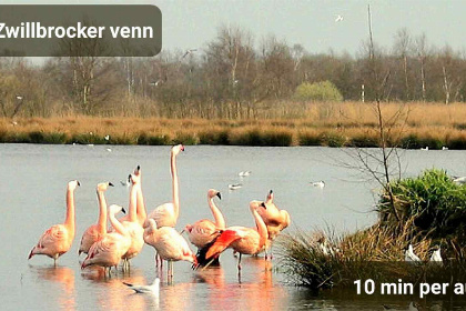 009 Sfeervol 4 persoons vakantiehuis met houtkachel in de natuur in de Achterhoek