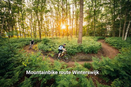 011 Sfeervol 4 persoons vakantiehuis met houtkachel in de natuur in de Achterhoek