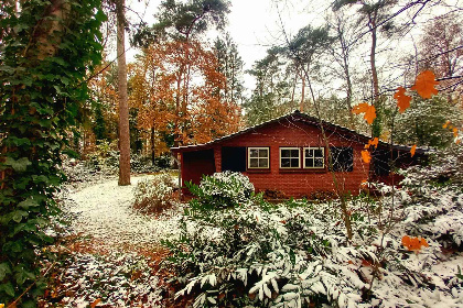 023 Sfeervol 4 persoons vakantiehuis met houtkachel in de natuur in de Achterhoek