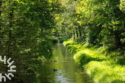 066 Moderne 10/12 persoons vakantieboerderij, geschikt voor mindervaliden, in de Achterhoek