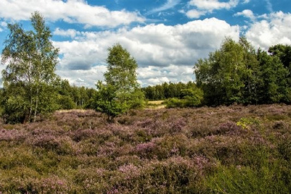 082 Moderne 10/12 persoons vakantieboerderij, geschikt voor mindervaliden, in de Achterhoek