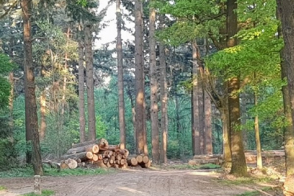 051 Mooi 3 persoons vakantiehuis zeer geschikt voor mindervaliden