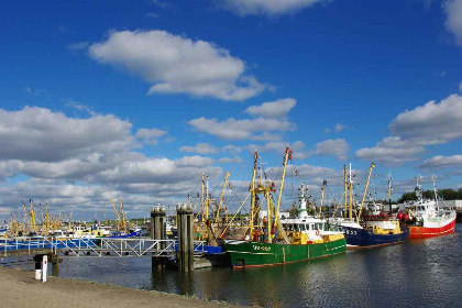 022 Fijn 5 persoons vakantiehuis in Lauwersoog