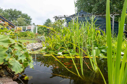 015 Ruim 6 persoons vakantiehuis met mooie tuin, dichtbij de zeehaven in Lauwersoog