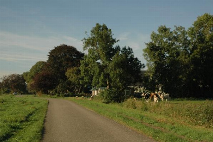 012 Mooi 4 persoons vakantiehuisje in het dorp Scheemda