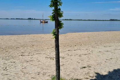 036 6 persoons vakantiehuis in Steendam nabij het Schildmeer