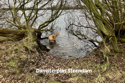 038 6 persoons vakantiehuis in Steendam nabij het Schildmeer