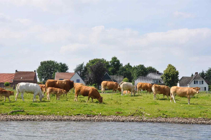 023 4 persoons sfeervol vakantiehuis met bedstede in Noord Limburg