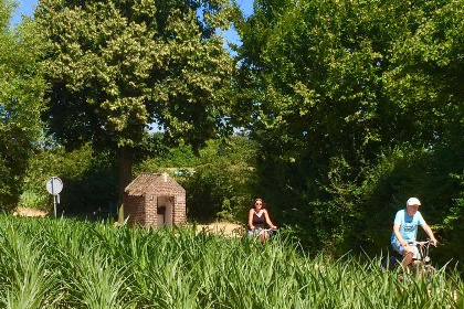 007 Bosrijk gelegen 5 persoons vakantiehuis in het Drakendorp Beesel, Limburg