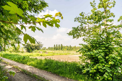 011 Bosrijk gelegen 5 persoons vakantiehuis in het Drakendorp Beesel, Limburg