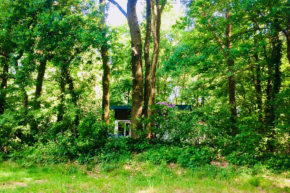 013 Bosrijk gelegen 5 persoons vakantiehuis in het Drakendorp Beesel, Limburg