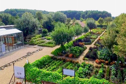 029 Bosrijk gelegen 5 persoons vakantiehuis in het Drakendorp Beesel, Limburg