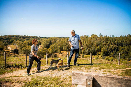 038 Duurzaam vakantiehuis voor 6 personen met tuinhuis op een vakantiepark nabij Valkenburg