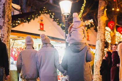061 Schaelsbergerbosch   Sfeerhaard 