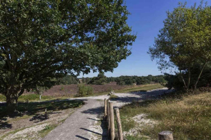 025 Gezellig 6 persoons vakantiehuis gelegen op prachtig vakantiepark in Zuid Limburg