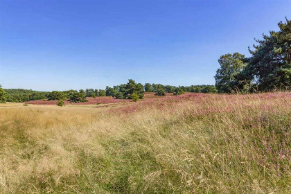 022 Knus 4 persoons vakantiehuis gelegen op prachtig vakantiepark in Zuid Limburg