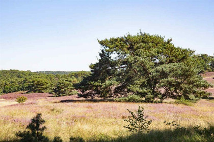 024 Luxe 10 persoons vakantiehuis gelegen op prachtig vakantiepark in Zuid Limburg