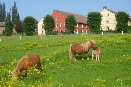 005 Comfortabel 9 persoons vakantiehuis in Zuid Limburg