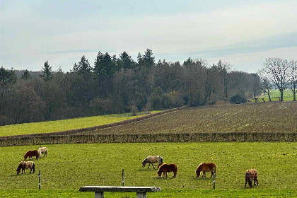 015 Fijn 6 persoons vakantiehuis in Zuid Limburg