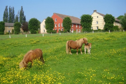 024 Fijn 6 persoons vakantiehuis met sauna in Zuid Limburg