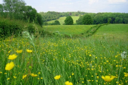 029 Mooie 25 persoons groepsaccommodatie in Zuid Limburg