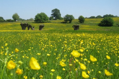 033 Mooie 25 persoons groepsaccommodatie in Zuid Limburg