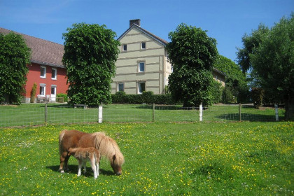 034 Mooie 25 persoons groepsaccommodatie in Zuid Limburg