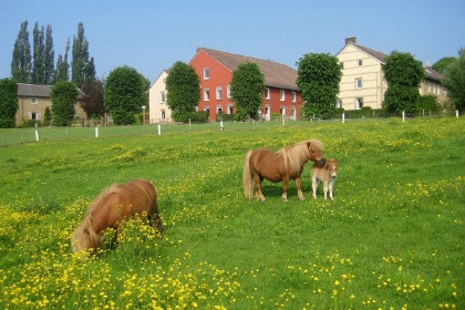 035 Mooie 25 persoons groepsaccommodatie in Zuid Limburg