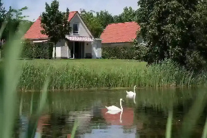 Basic 6 persoons vakantiehuis aan de Maasplassen nabij Roermond   Limburg