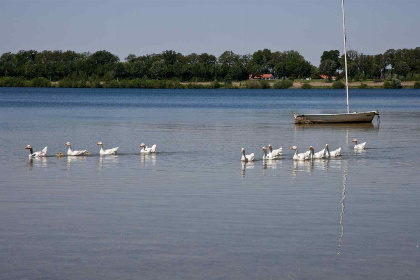 024 Basic 6 persoons vakantiehuis aan de Maasplassen nabij Roermond   Limburg