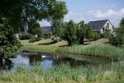 Nederland, Limburg, Heel