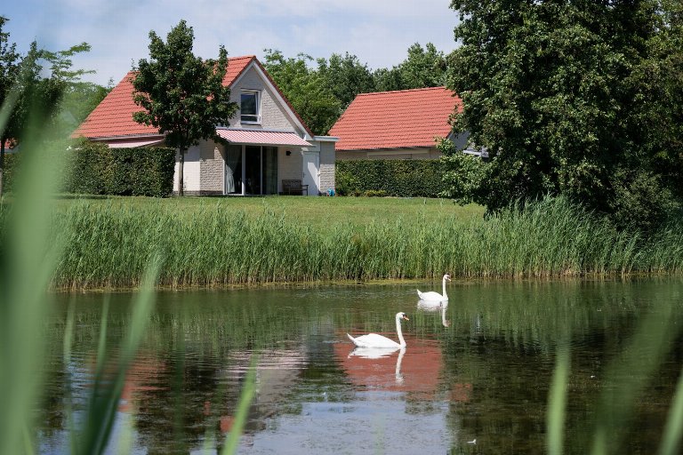 Nederland, Limburg, Heel