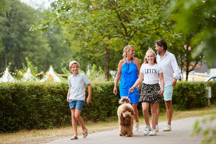 014 Bos Lodge | 6 personen