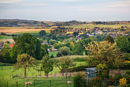 026 Carrehoeve A Gen Beuke I vakantiehuis met zwembad in Limburg