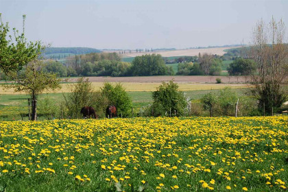 009 Prachtig 4 persoons boerderij appartement in Mechelen   Zuid Limburg