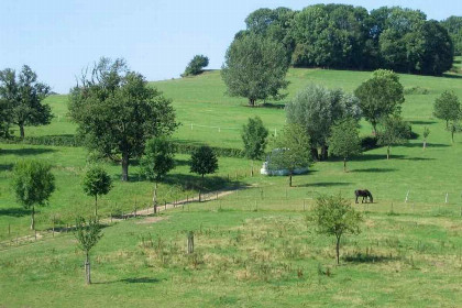 016 Prachtig 4 persoons boerderij appartement in Mechelen   Zuid Limburg