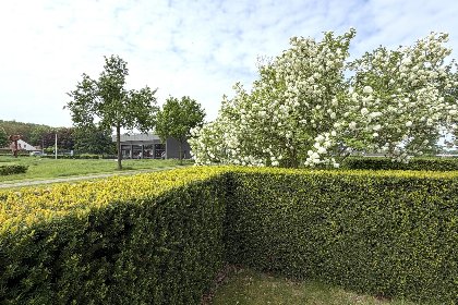 029 Laurahoeve