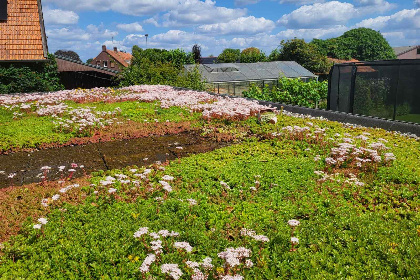 013 Sfeervol 6 persoons vakantiehuis met 2 badkamers vlakbij Nationaal park de Groote Peel