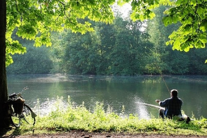 010 Knus 6 persoons vakantiehuis op Parc de Witte Vennen in Noord Limburg