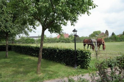 006 Modern ingerichte 6 persoons vakantiehuis gevestigd in een boerderij in Limburg