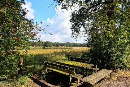 016 Modern ingerichte 6 persoons vakantiehuis gevestigd in een boerderij in Limburg